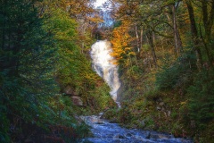 Aberfoyle-29-10-2025-ERWilson