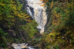 Aberfoyle-29-10-2025-ERWilson