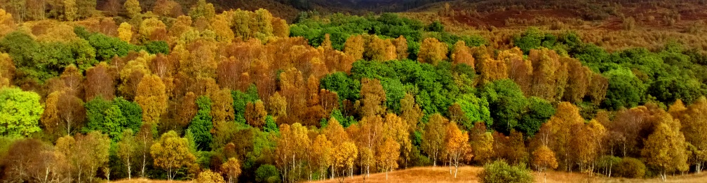 Trossachs in Autumn.